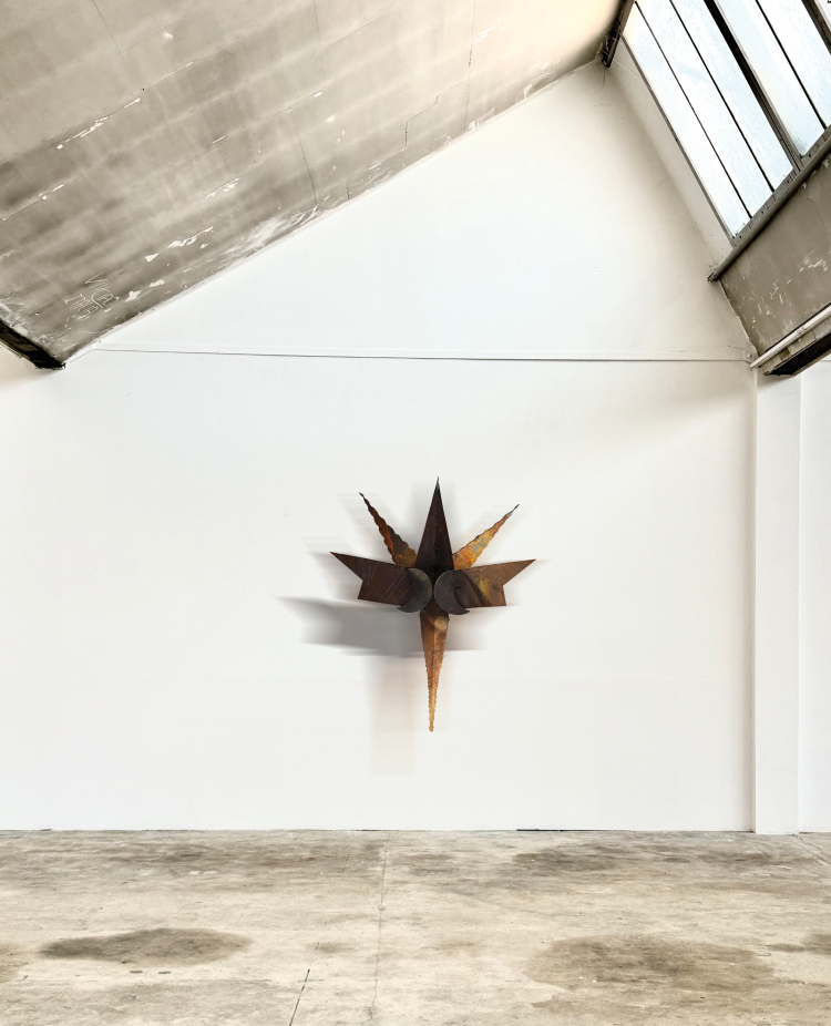 Mario Castellanos &ndash; Roots and Mirrors: Finissage