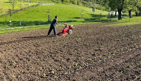 feministischer salon basel: Land, Sorge, Widerstand
