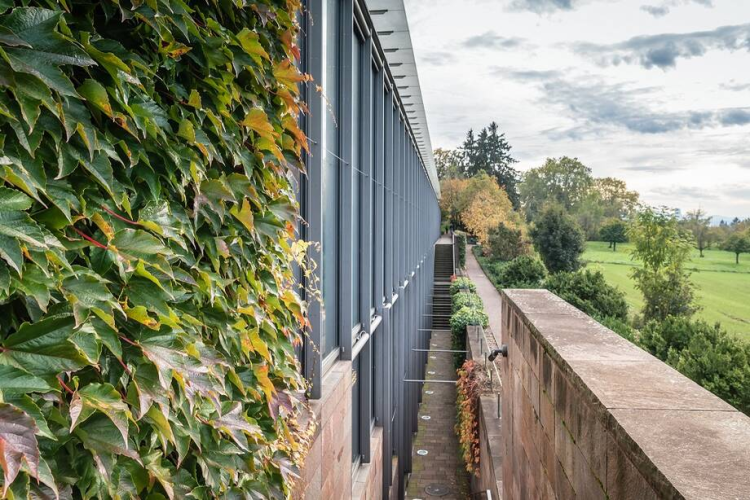 Architektur-Rundgang
